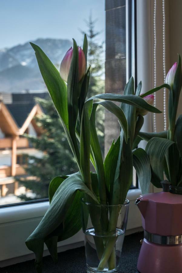 5 Krokow Zakopane Dış mekan fotoğraf